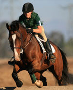 Mental coaching for equestrians